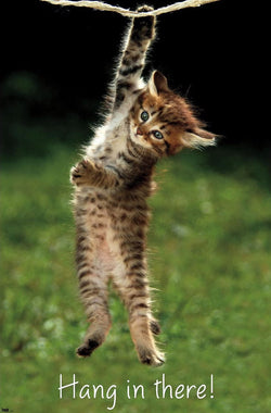 Adorable Kitten "Hang In There" Super-Cute Cat Poster - Trends International
