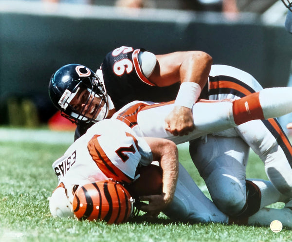 Dan Hampton "Danimal Sack" c.1985 Chicago Bears 20x24 Poster Print - Photofile