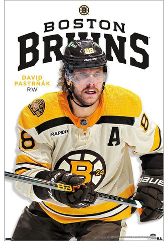 David Pastrnak "Spotlight" Boston Bruins NHL Hockey Poster - Costacos Sports