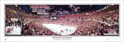 Detroit Red Wings Stanley Cup 2008 Champs Commemorative Panoramic Poster Print - Everlasting Images