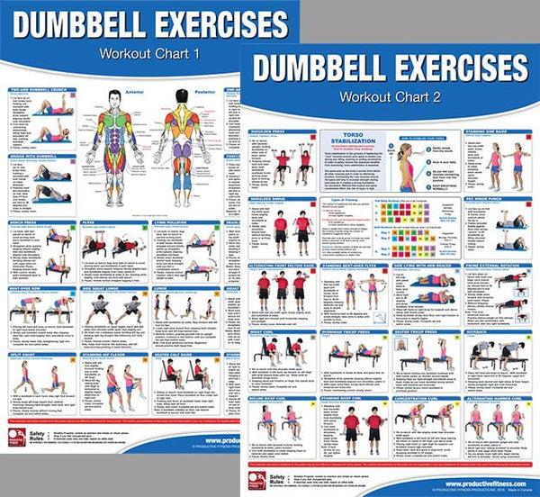 Dumbbell Exercises Workout 2-Poster Professional Wall Chart Combo - Productive Fitness