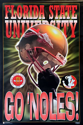 Florida State Seminoles Football "Go 'Noles" Classic Theme Art Poster - Costacos 1996