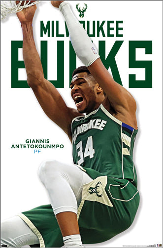 Giannis Antetokounmpo 