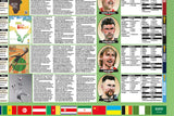 History of The FIFA World Cup Soccer 1930-2022 Wall Chart 27x39 Poster - Vanguard 2025