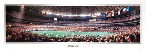 Houston Oilers "48 Yard Line" Houston Astrodome Panoramic Poster Print - Everlasting Images 1992