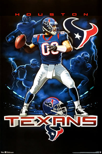 Houston Texans "On Fire" NFL QB Action Theme Art Poster - Costacos Sports