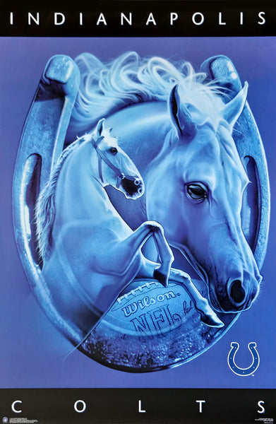 Indianapolis Colts "Lucky Horseshoe" Official NFL Pro Player Theme Art Poster - Costacos 1997