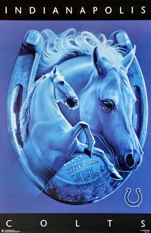 Indianapolis Colts "Lucky Horseshoe" Official NFL Pro Player Theme Art Poster - Costacos 1997