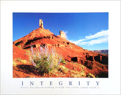 Desert Valley "Integrity" Motivational Poster - Front Line