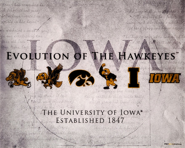 University of Iowa "Evolution of the Hawkeyes" Logo History 16x20 Poster Print - ProGraphs Inc.