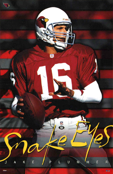 Neil Lomax Superstar St. Louis Cardinals QB Vintage Original NFL Pos –  Sports Poster Warehouse