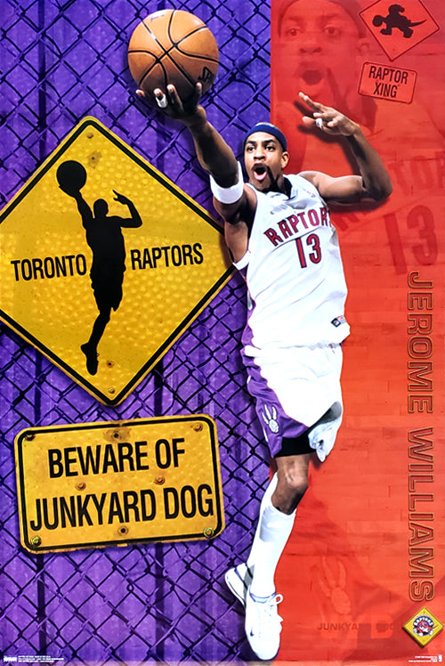 90s Raptors Poster Toronto Raptors 2019 NBA Champions Official Commemorative Poster - Tre ...