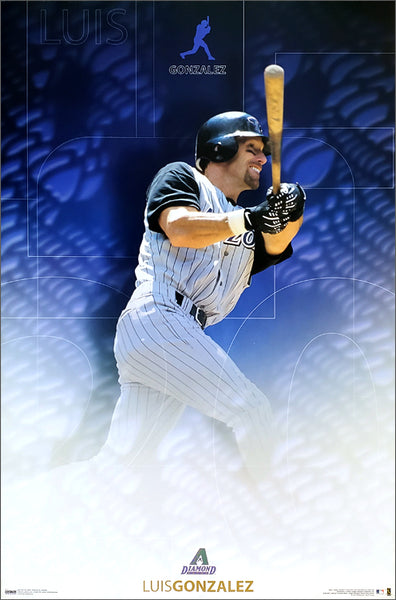 Luis Gonzalez "Snakeskin" Arizona Diamondbacks Poster - Costacos 2002