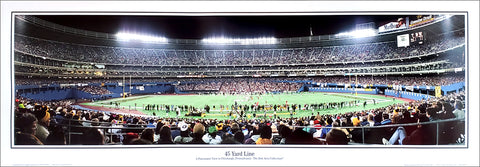 Pittsburgh Steelers Three Rivers Stadium "45 Yard Line" (1992) Panoramic Poster Print - Everlasting Images