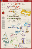 Roman Emperors Family Tree Wall Chart Premium Reference Poster - Useful Charts