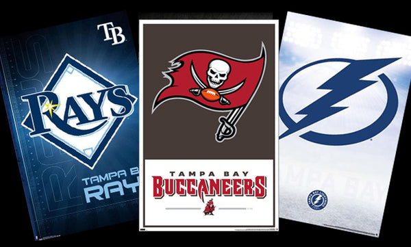 Tampa Bay Skyline Sports Teams Logo Rays X Lightning X Buccaneers