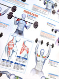 Weight Training Fitness Complete Body Instructional Wall Chart Poster - Chartex Products