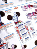 Weight Training Fitness Complete Body Instructional Wall Chart Poster - Chartex Products