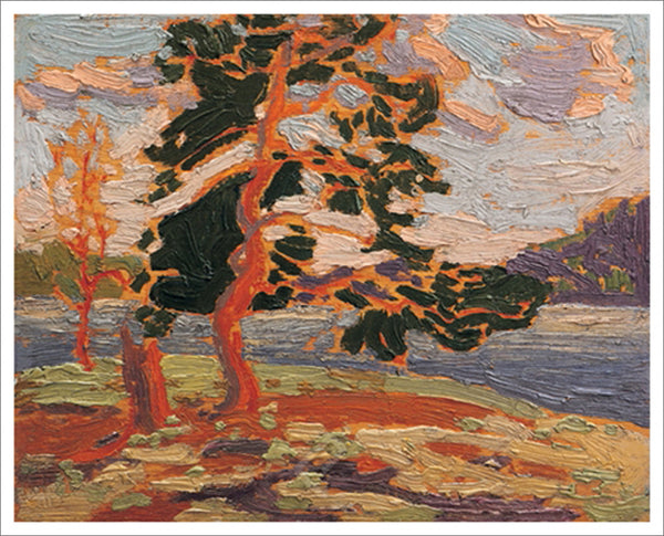 The Pine Tree Canadian Wilderness Art (1916) by Tom Thomson Group of Seven Poster Print - Eurographics Inc.