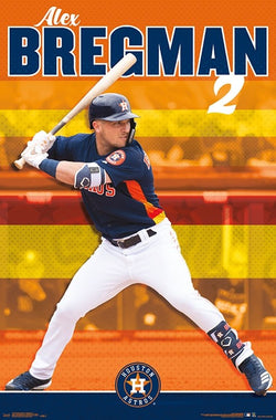 Astros Baseball Bat Skyline Poster (24x16)