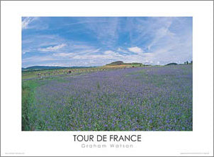 Tour de France "Lavender Field" Cycling Premium Poster Print - Graham Watson 2003