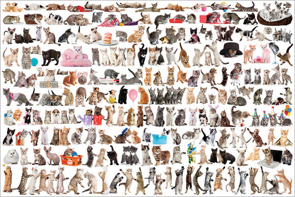 World of Cats Poster (200 Fuzzy Felines!) - Eurographics Inc.