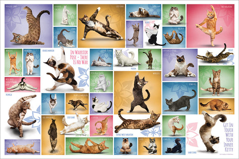 Yoga Cats "39 Poses" Fitness Felines Poster - Eurographics Inc.