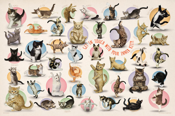 Yoga Cats "Get In Touch With Your Inner Kitty" Poster - Eurographics Inc.