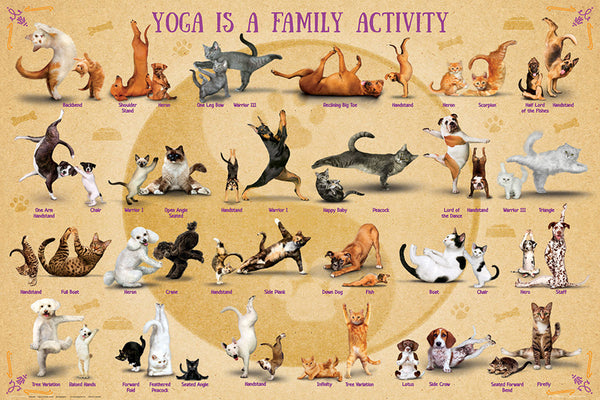 Yoga Dogs and Cats "Yoga is a Family Activity" Fitness Poster - Eurographics Inc.