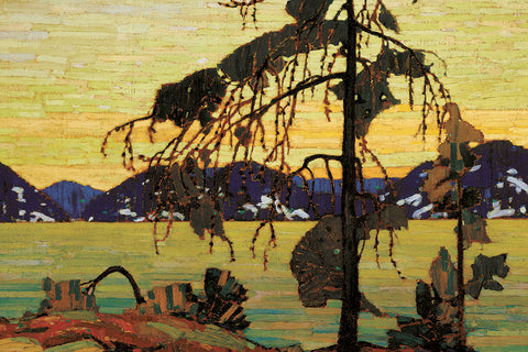 The Jack Pine Canadian Wilderness Art (1917) by Tom Thomson Group of Seven Poster Print - Eurographics Inc.