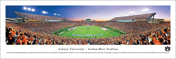 Auburn Tigers Jordan-Hare Stadium "End Zone" Panoramic Poster Print - Blakeway 2011