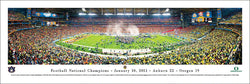 Auburn Tigers 2010 NCAA Football National Champions Panoramic Poster Print - Blakeway 2011