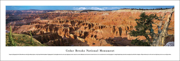 Cedar Breaks National Monument (Southern Utah) Panoramic Poster Print - Blakeway Worldwide