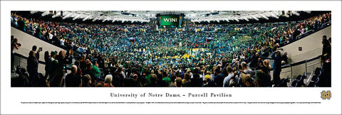 Notre Dame Fighting Irish Basketball "Storm the Court" Panoramic Poster - Blakeway 2013