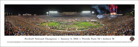 Florida State Seminoles 2014 BCS Game National Champs Panoramic Poster - Blakeway