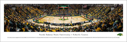 North Dakota State Bison Basketball Scheels Arena Panoramic Poster Print  - Blakeway Worldwide