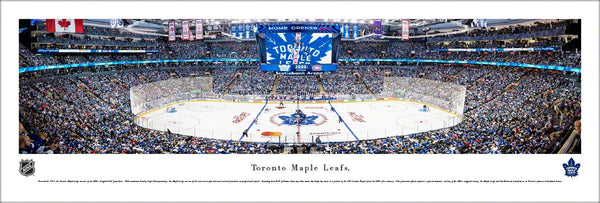 Evergreen Toronto Maple Leafs Vintage House Flag