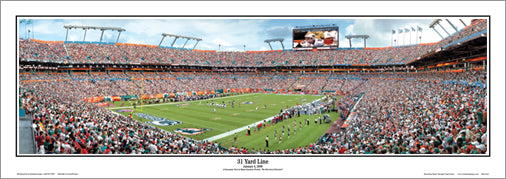 Miami Dolphins Panoramic Picture - Hard Rock Stadium