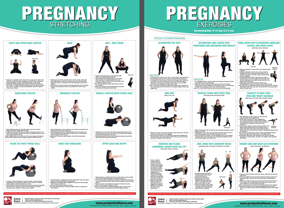 Pregnancy Exercises Workout 2-Poster Professional Wall Chart Combo - P ...