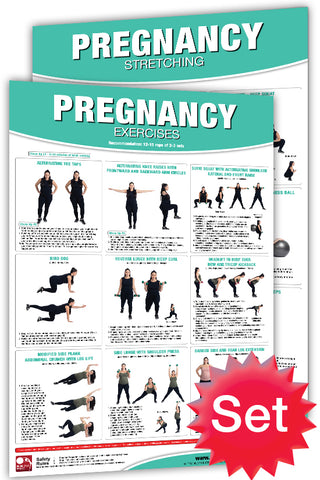 Pregnancy Exercises Workout 2-Poster Professional Wall Chart Combo - Productive Fitness
