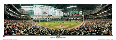 Houston Astros 2004 NLCS Game 4 Minute Maid Park Panoramic Poster Print - Everlasting Images