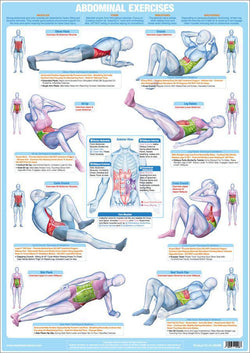 Abdominal Exercises Strength Training Fitness Instructional Wall Chart Poster - Chartex Products