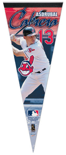 Cleveland Indians Chief Wahoo Classic Official MLB Team Logo Wall Post –  Sports Poster Warehouse