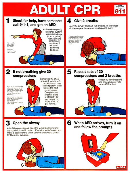 Adult CPR Professional Instructional Poster (AHA Guidelines) - Fitnus Posters