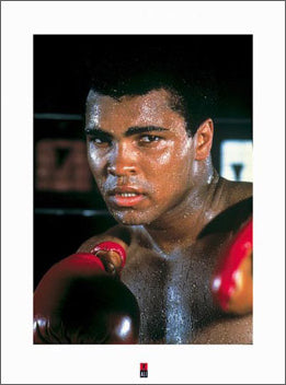 Muhammad Ali "Portrait" Boxing Gallery Poster Print - Pyramid Posters