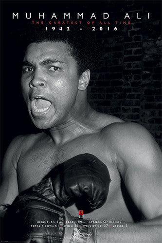 Muhammad Ali Boxing 