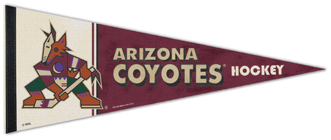NHL Arizona Coyotes Reverse Retro Jersey 2022 Souvenir Collector