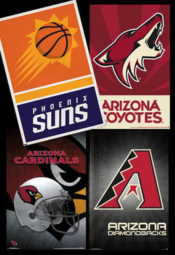 NFL Arizona Cardinals - Logo 21 Poster