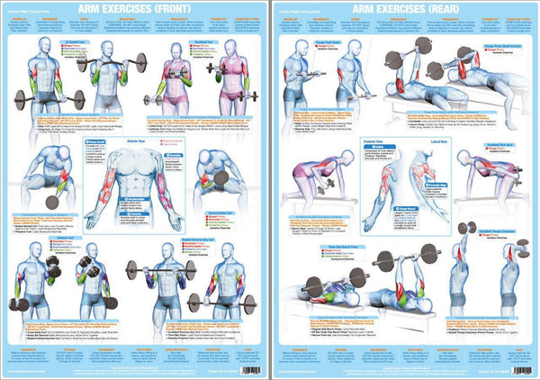 Arm Exercises (Front and Rear) Weight Training Fitness Instructional Wall Chart 2-Poster Set - Chartex Products