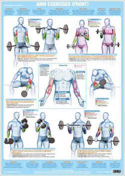 Arm Exercises (Front) Weight Training Fitness Instructional Wall Chart Poster - Chartex Products